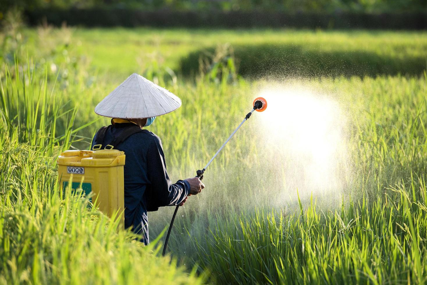 Approved Pesticide Services